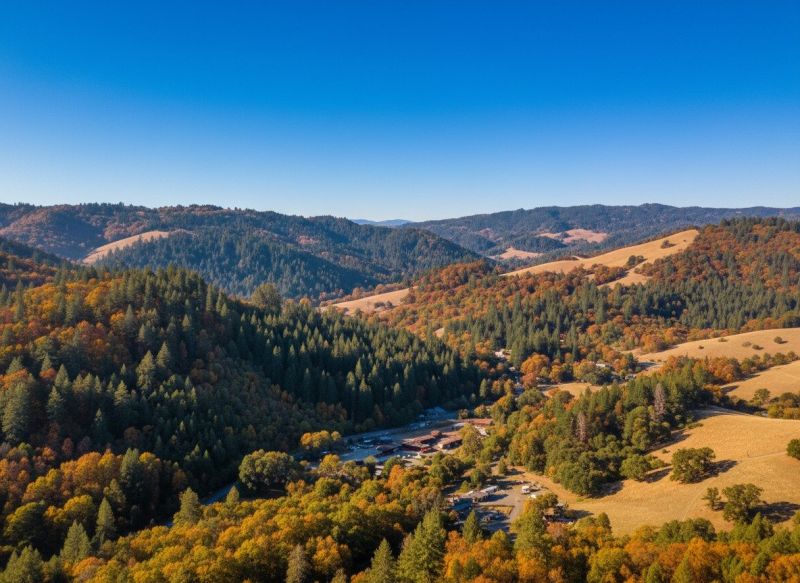 Best Bathroom Remodeling pros in Holly, MI